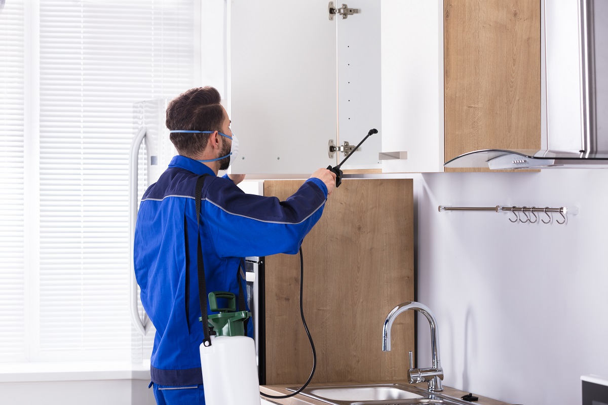 Worker spraying insecticide