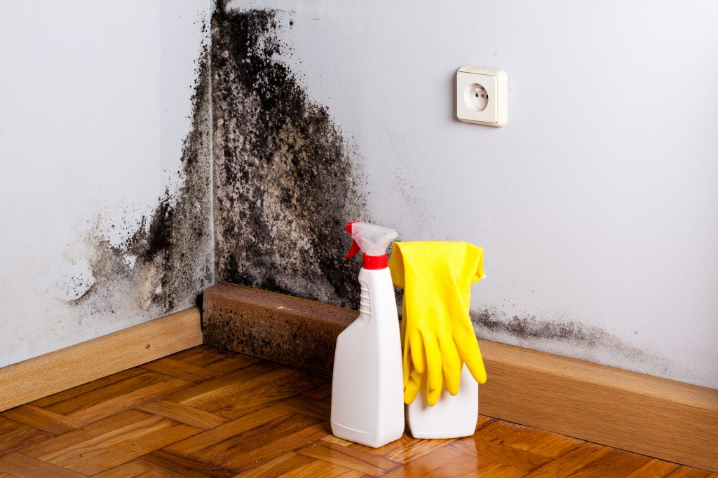 Mold and cleaning materials