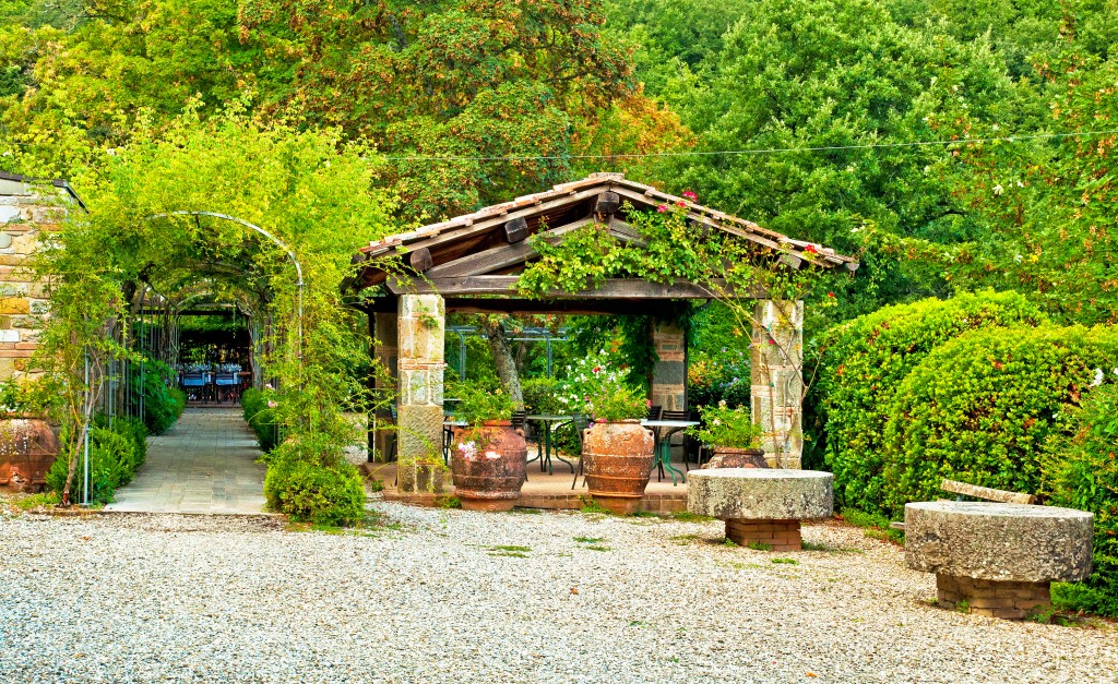 Garden outside the house