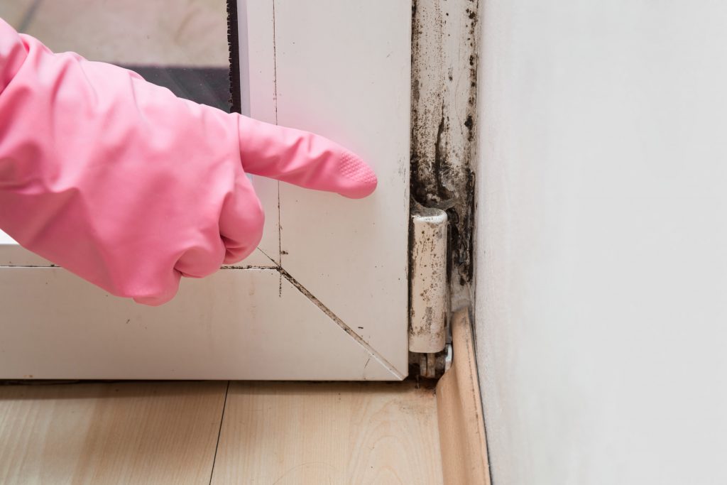 Person pointing at mold