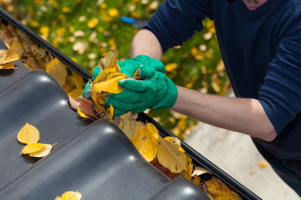 Roof gutter with leaves being removed
