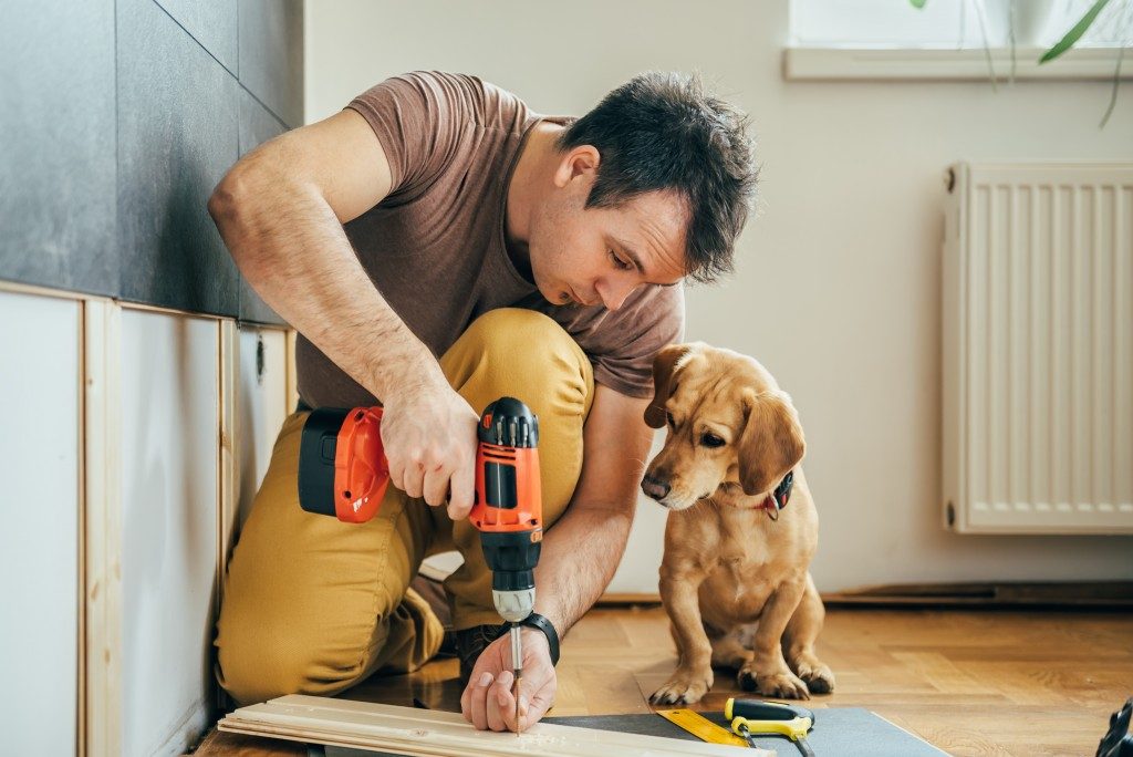 man doing home improvements whilst dog watches
