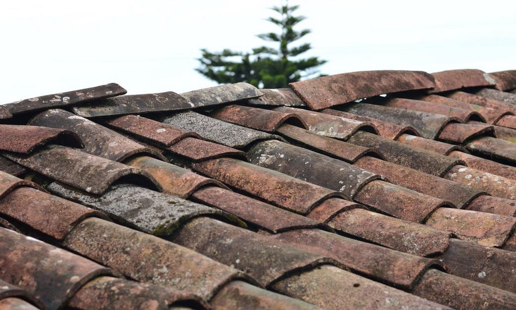 brown-roof