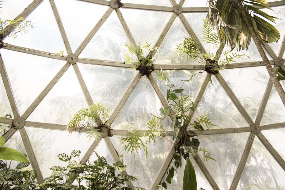 greenhouse garden