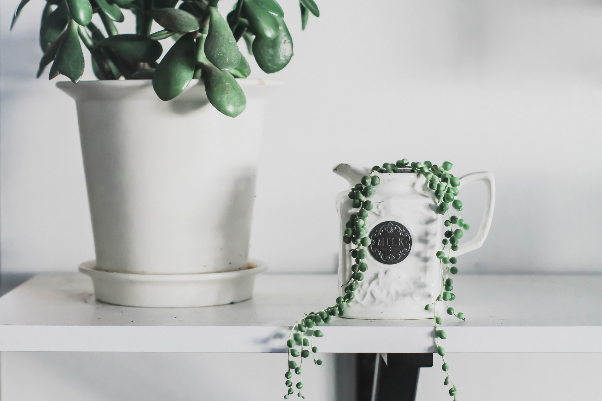 string-of-pearls-on-ceramic-pot