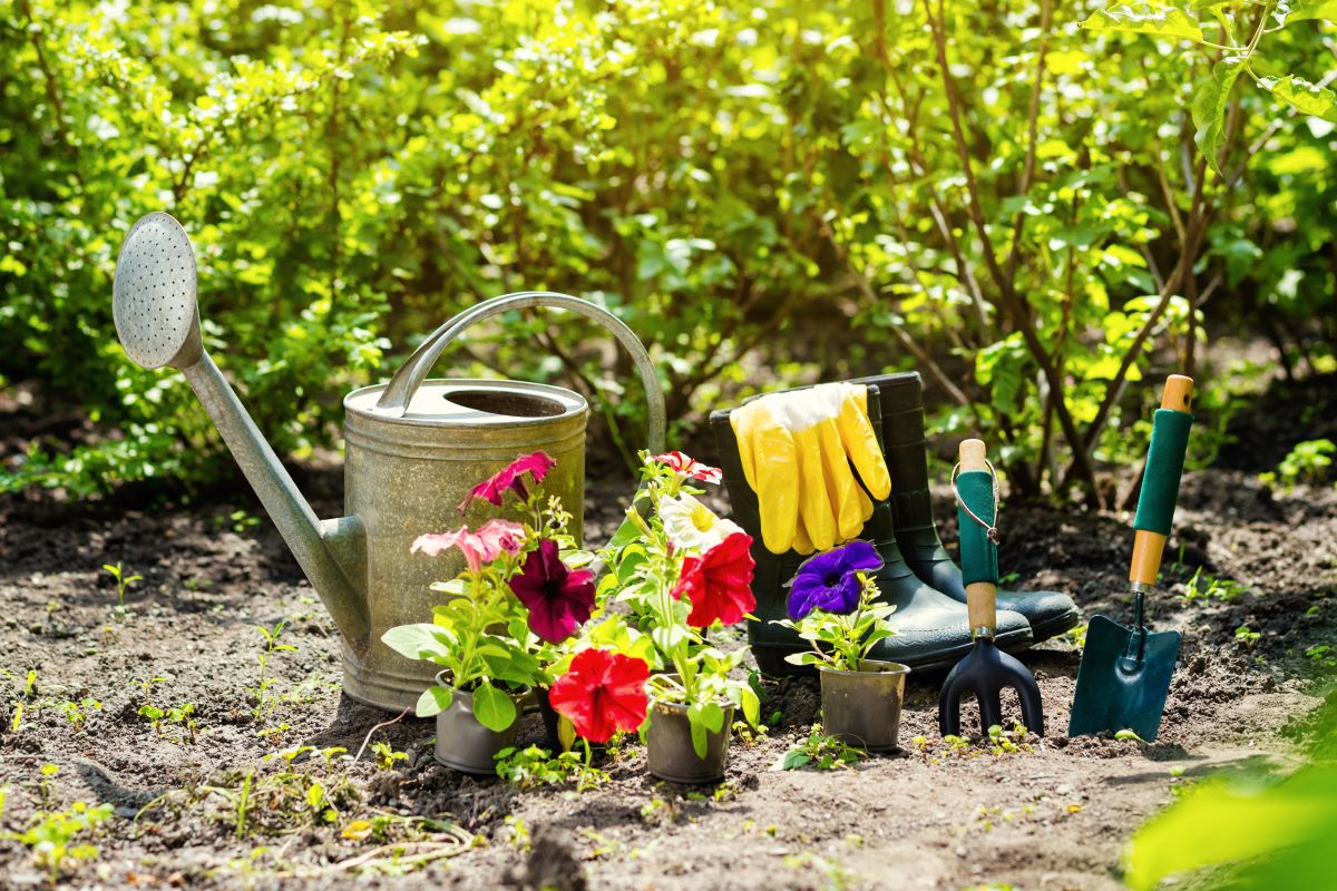 gardening tools and materials