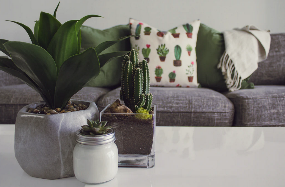 table-design-cactus