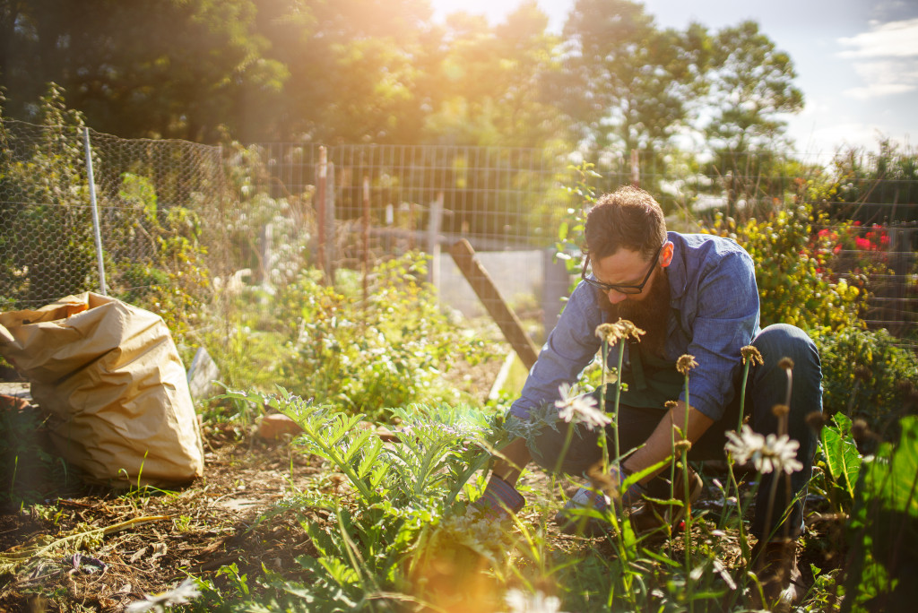 planting