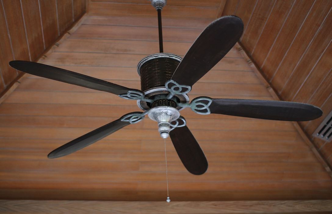 ceiling-fan