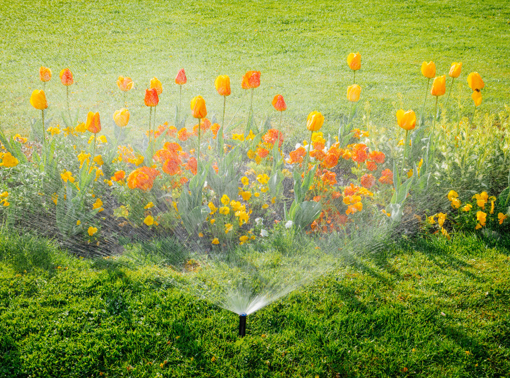 sprinkler watering the flower
