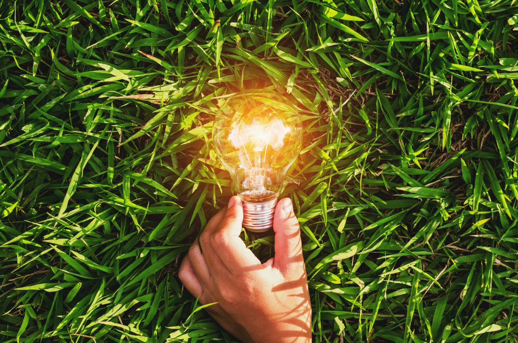 A man holding a bulb in grass