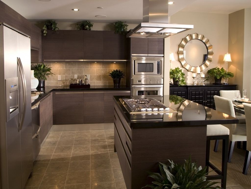 New kitchen with modern appliances and better lighting.