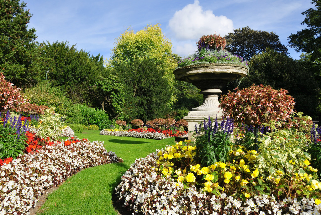 a variety of colorful flowers in a garden