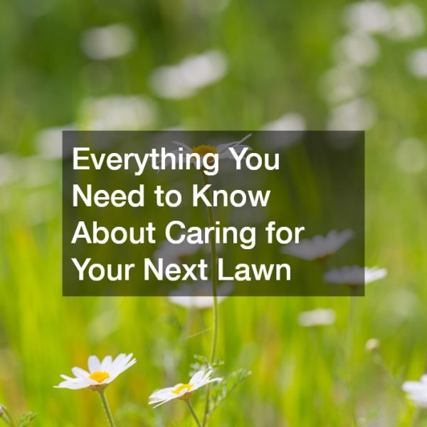 Everything You Need to Know About Caring for Your Next Lawn