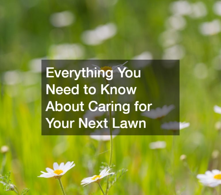 Everything You Need to Know About Caring for Your Next Lawn