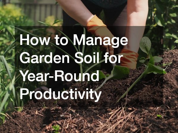 How to Manage Garden Soil for Year-Round Productivity