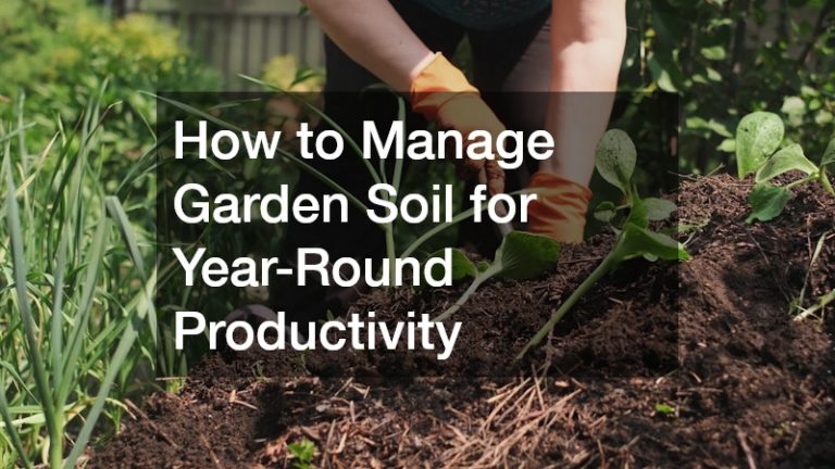 How to Manage Garden Soil for Year-Round Productivity